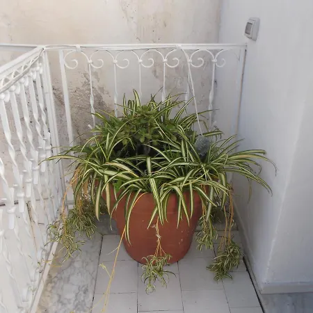 Casa Nannina בית נופש מינורי